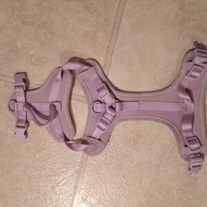 Purple Dog Harness